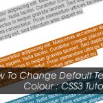 85.text-selection