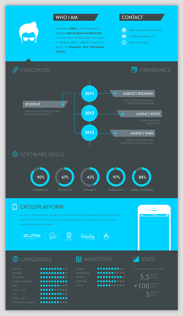 30  examples of creative graphic design resumes  infographics