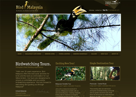 nature inspired web designs