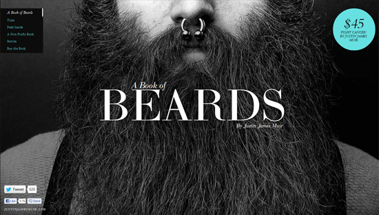 Photo background example: A Book of Beards