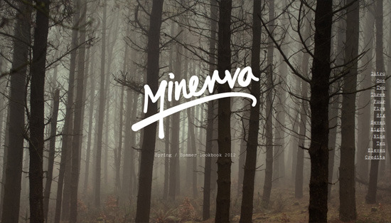 Photo background example: Minerva