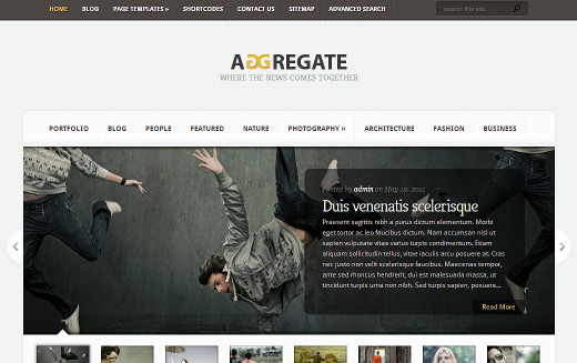 Aggregate Magazine Theme by  Elegant Themes