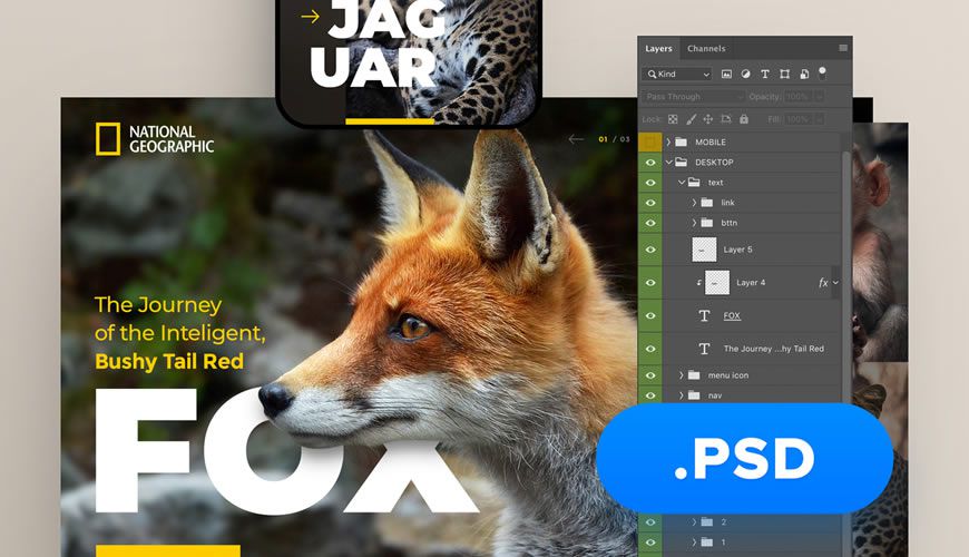 National Geographic Website PSD Web Template Adobe Photoshop