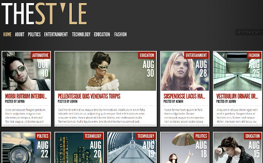TheStyle Theme by Elegant Themes