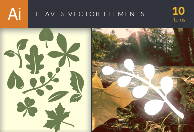 design-tnt-vector-leaves-small