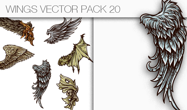 designious-vector-wings-20-small