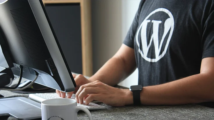 WordPress in Simple Terms